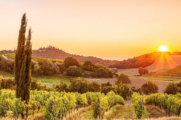 istock Rural landscape in Tuscany 1676111227