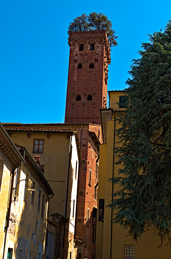 Guinigi Tower on a beautiful day in Lucca, Tuscany, Italy