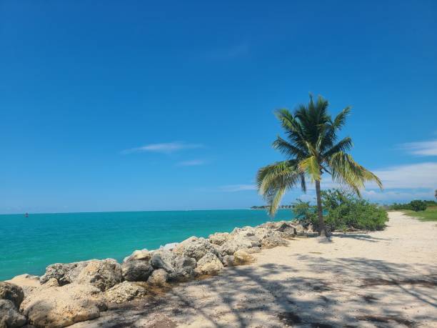 istock The Beauty of Key West 1676127290