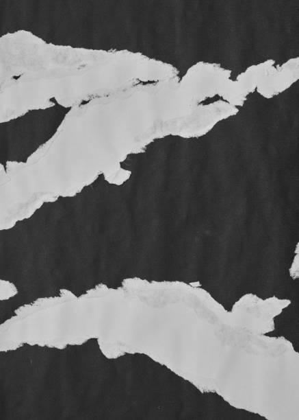 istock Black and White Torn Paper Collage Style, Ripped Paper Effect, Texture Abstract Background, Copy Space for Text. 1676138355