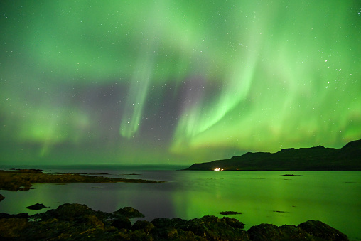 The northen lights appears strongly over the town Husavik in Iceland