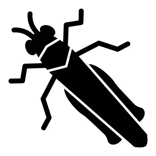 白い背景にバッタの実のアイコン、昆虫のコンセプト、イナゴのサイン、グリフスタイルのモバイルコンセプトウェブデザインのクリケットアイコン。ベクター画像。 - grasshopper cricket insect symbol点のイラスト素材／クリップアート素材／マンガ素材／アイコン素材