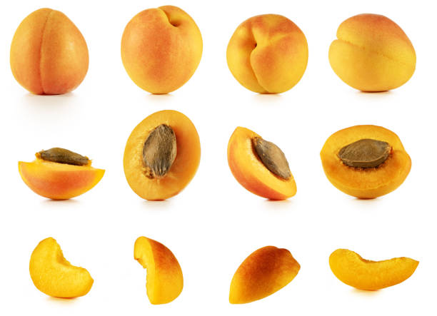istock Fresh ripe apricot collection. 1676170105