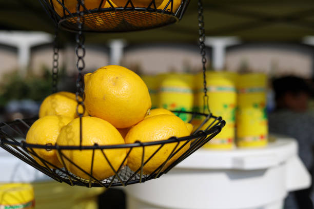 lemon squeezed with a hand juicer on a wooden table in the field with a pile of lemons and trees in the background