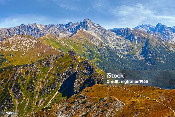 I Monti Degli Alti Tatra Mountain Panorama - Fotografie stock e altre immagini di Albero - Albero, Ambientazione esterna, Ambientazione tranquilla