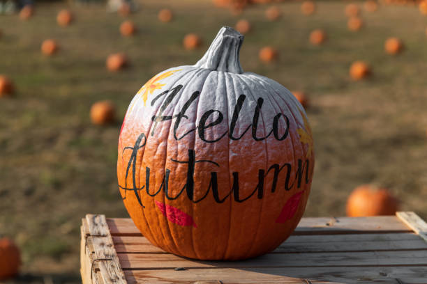 istock Fresh pumpkin with handwritten inscription 1676200878