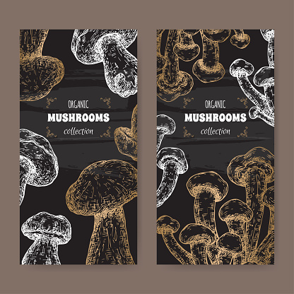 Two labels with cyclocybe aegerita aka poplar mushroom anad Boletus edulis aka porcini mushroom sketch on black. Edible mushrooms series.
