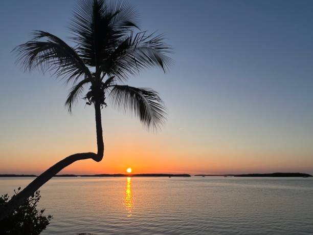 istock Sunrise in Islamorada 1676221491