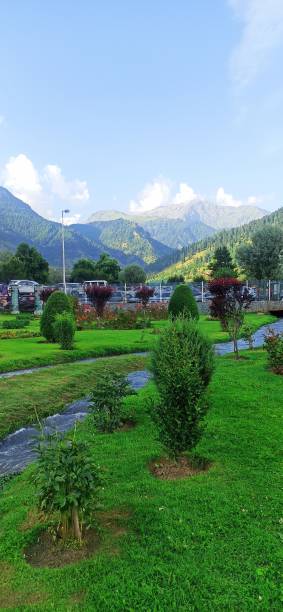 istock Flowering aru valley pahalgam 1676223161