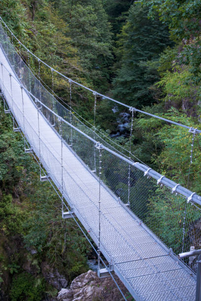 istock Pequerin footbridge in Pyrenees, France 1676244194