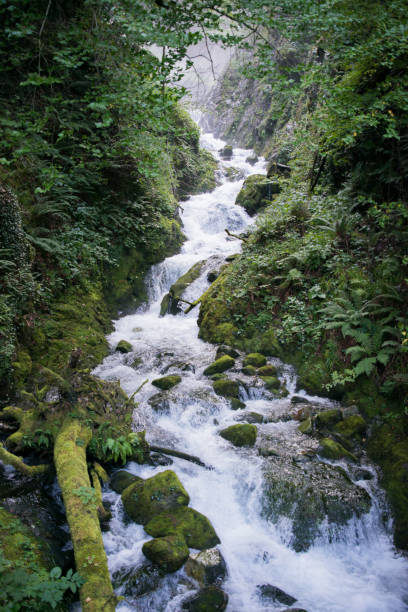 istock Water spring in Pyrenees, France. No people 1676244205