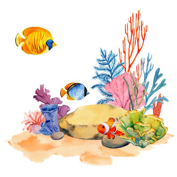 istock Coral reefs with tropical fish, rocks and algae. Underwater landscape. Bright watercolor illustration. The plot for the design of banners, souvenirs, postcards, posters, design and printing 1676249175