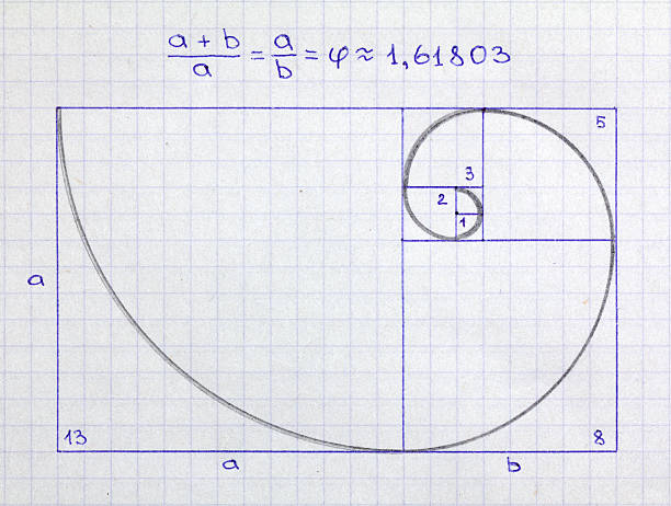 fibonacci-spirale - phi stock-fotos und bilder