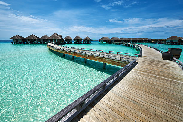 istock Beautiful beach with water bungalows 167625315