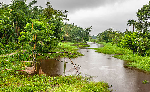Tributary of the Brahmaputra river, Jorhat, Assam, India. View of a small tributary of the river Brahmaputra running through a small village near the city of Jorhat in Assam, India. The shot shows fishing nets with bamboo frames and various vegetation flanking the tributary. This shot was taken just after a downpour toward the end of the rainy season. brahmaputra river stock pictures, royalty-free photos & images
