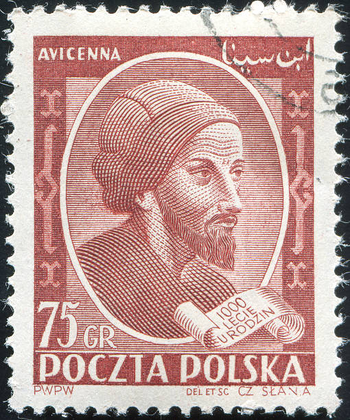 francobollo stampato in polonia, mostra avicenna o ibn sina - anno 1952 foto e immagini stock