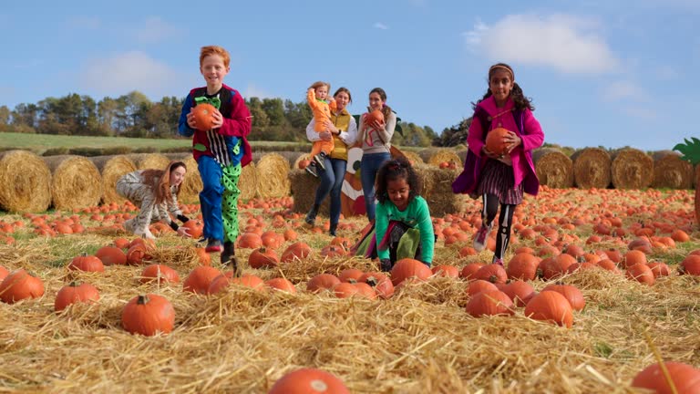 Pumpkin Patch Picking and Fun