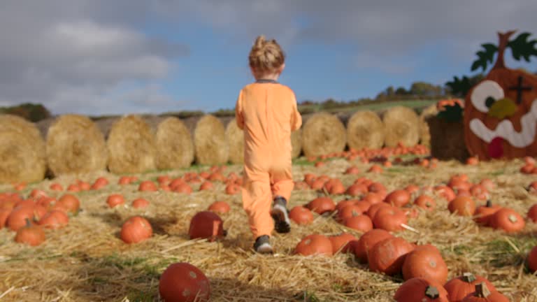 Halloween Pumpkin Picking