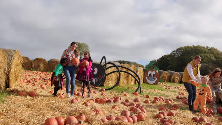 Choosing the Perfect Pumpkins