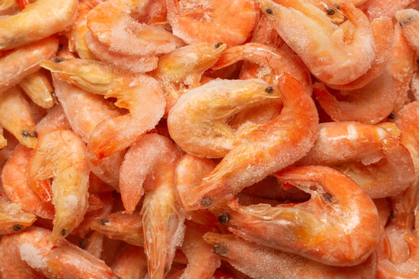 istock Fresh shrimps in ice. Top view. 1676306641