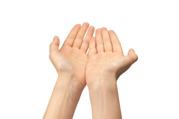 istock Woman hand isolated on a white background. 1676306665