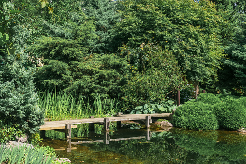 Seattle, Washington - March 29th 2015, Its the Japanese Garden in March Seattle Washington.