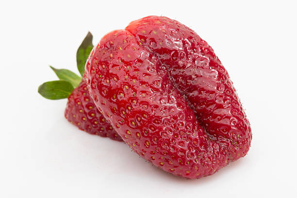 Ripe and juicy strawberry on white background stock photo
