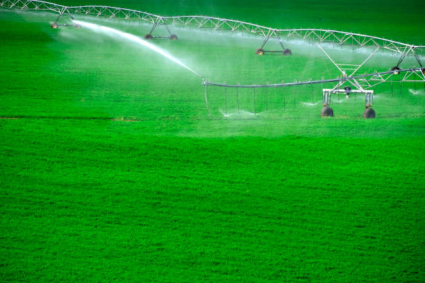 istock Irrigation Sprinkler Equipment on Lush Green Field 1676313329