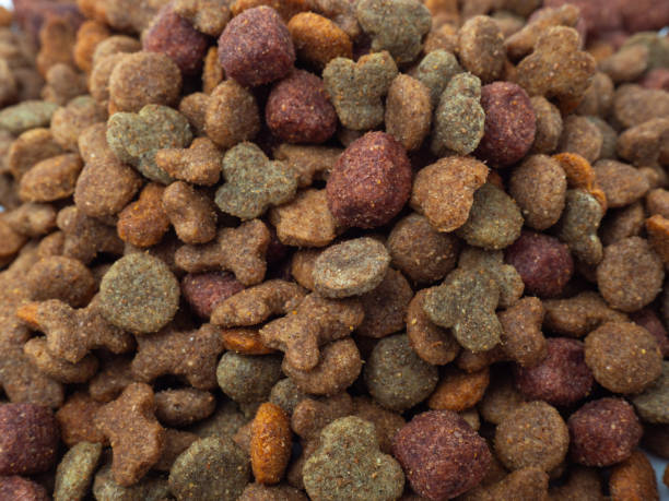 istock Dog food on a white background. 1676319587