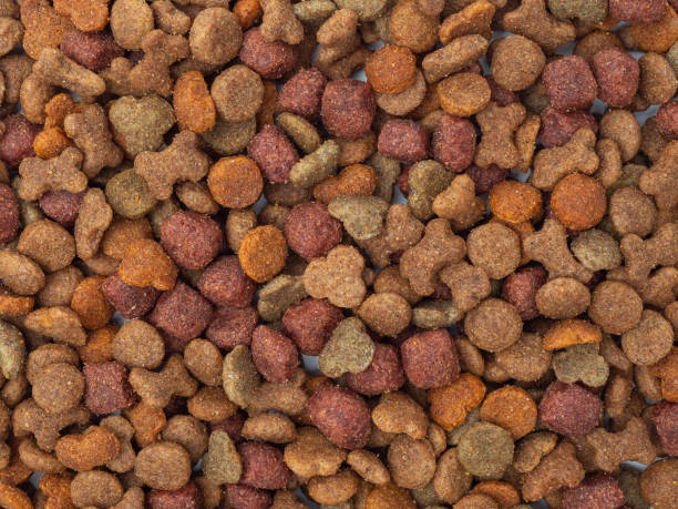 istock Dog food on a white background. 1676321280