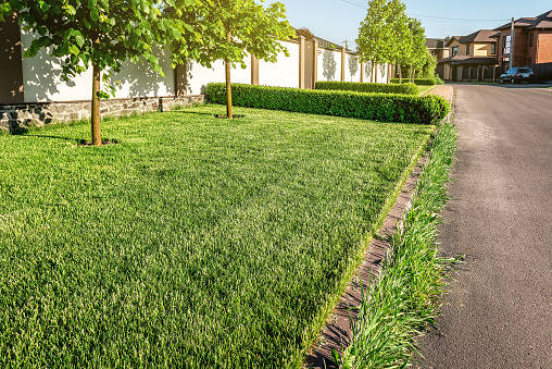 Perfect green lush grass lawn and asphalt road