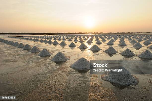 Salt Campi Phetchaburi Tailandia - Fotografie stock e altre immagini di Acqua - Acqua, Agricoltore, Ambientazione esterna