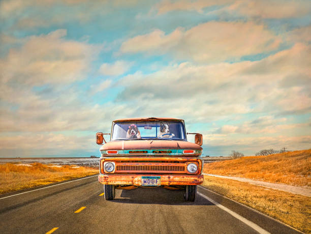 istock Couple Takes A Road Trip 1676331970