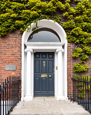 A famous painted Georgian door in Dublin, Ireland