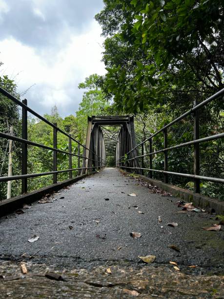 istock Bridge to Lankagama village 1676359102
