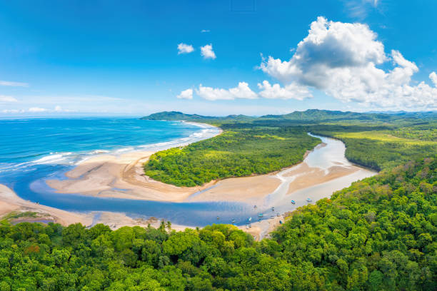 타마린도 해변과 강어귀, 과나카스테, 코스타리카 - estuary 뉴스 사진 이미지
