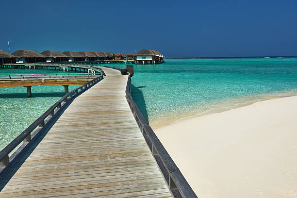 istock Beautiful beach with water bungalows 167637533