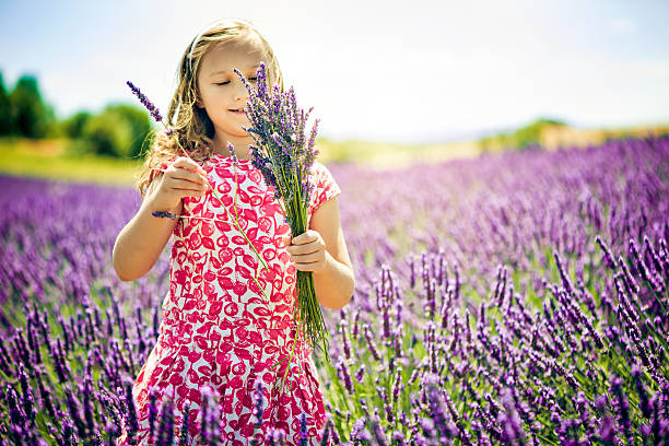 istock In the field of lavender 167641059