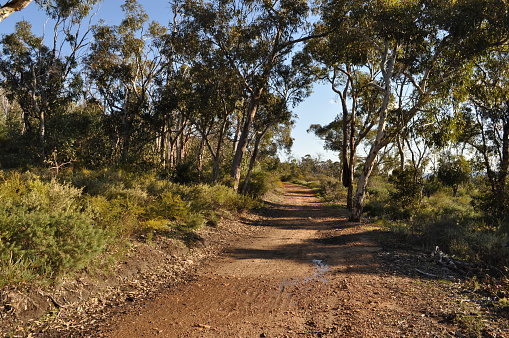 Red dirt track, Whistlepipe Gully Walk, Mundy Regional Park, Perth Hills, Western Australia, Australia