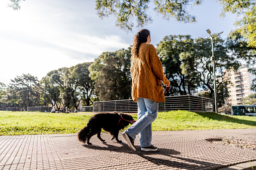 Rear view of a mid adult woman walking with her dog in the city