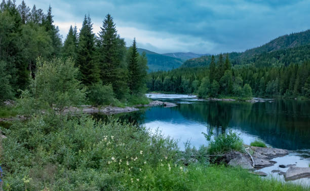 hermosos paisajes con bosques, ríos y lagos en la región de telemark de noruega - normark fotografías e imágenes de stock