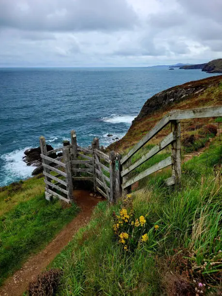 Cliffside view of the rugged Pembrokeshire coastline West Wales. Rustic, weather worn, wooden gate and fence nestled in the coarse, coastal meadow grass on an overcast, cloudy summer's day. Viewed from the Wales Coast Path.