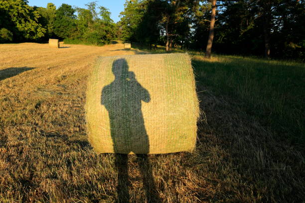 istock Photographer casts a shadow on a hay bale while taking a picture 1676433399