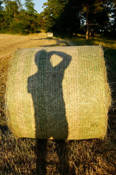 istock Photographer casts a shadow on a hay bale while taking a picture 1676433761