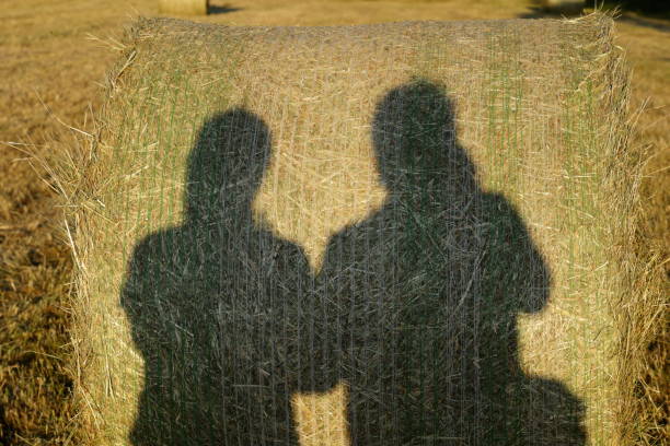 istock Photographer casts a shadow on a hay bale while taking a picture 1676434281