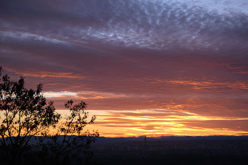 Dark foliage of small trees and bush against bright colorful sunset sky with vivid clouds illuminated with setting sun light.