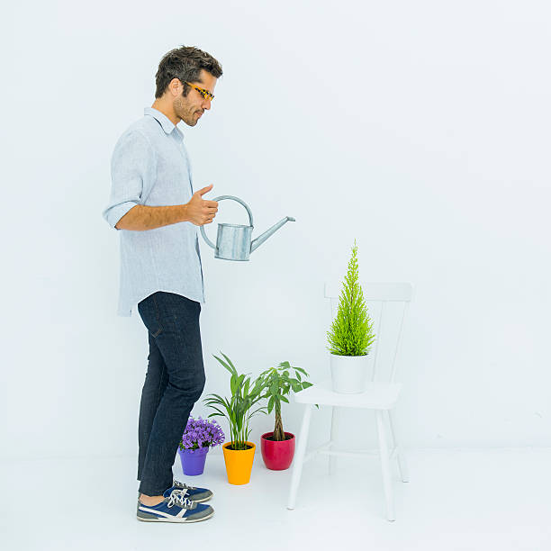 hombre más sus plantas en una casa blanca - planting clothing gray hair human age fotografías e imágenes de stock