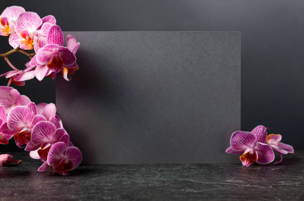 istock Blooming orchid flowers with a gray card for your text. 1676484099