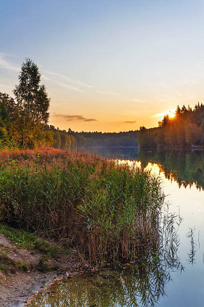 istock Sunset near the summer lake 167649232