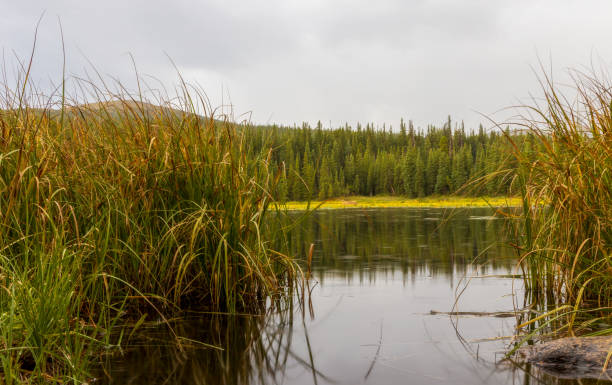 Beautiful Red Rock Lake in Colorado